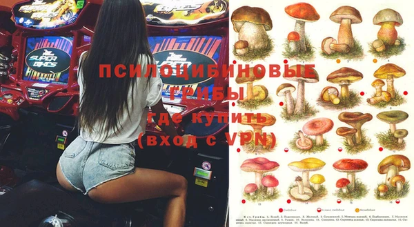 прущие крисы Корсаков