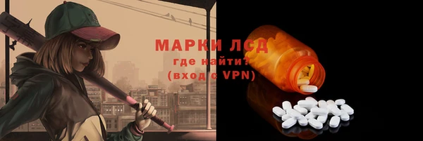 стаф Абинск