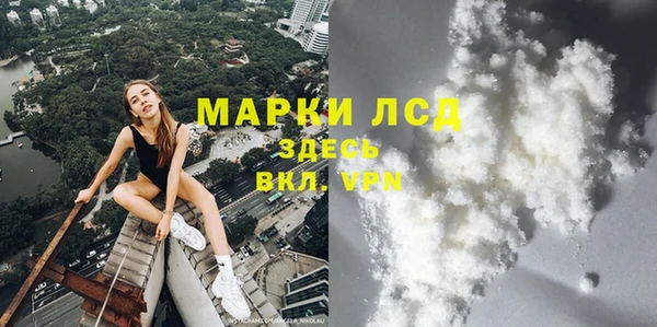 стаф Абаза