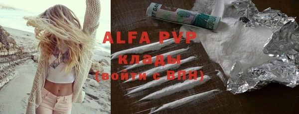 стаф Абинск