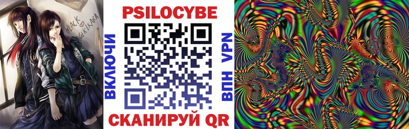 Галлюциногенные грибы Psilocybe Эртиль